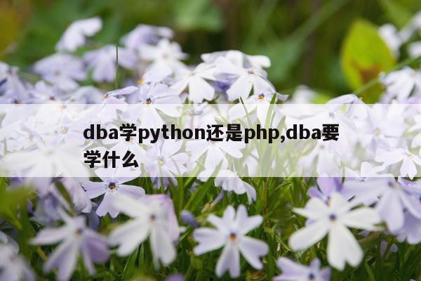 dba学python还是php,dba要学什么