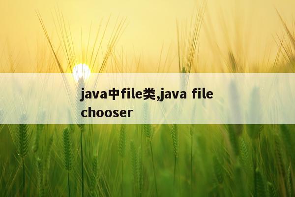 java中file类,java filechooser