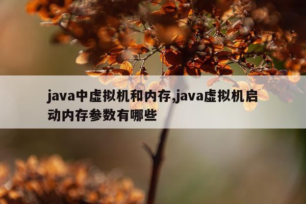java中虚拟机和内存,java虚拟机启动内存参数有哪些