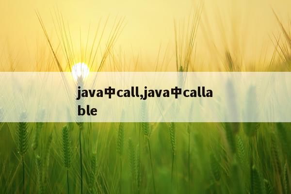 java中call,java中callable