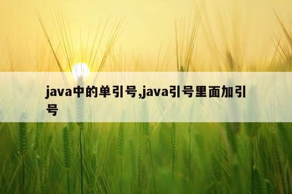java中的单引号,java引号里面加引号