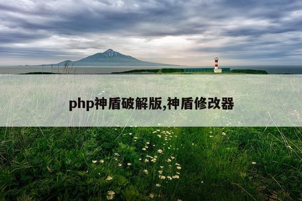 php神盾破解版,神盾修改器
