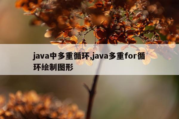 java中多重循环,java多重for循环绘制图形