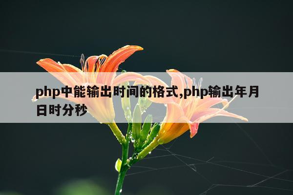 php中能输出时间的格式,php输出年月日时分秒