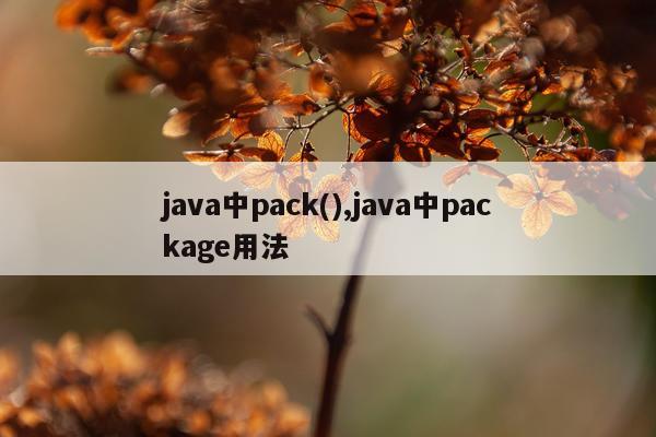 java中pack(),java中package用法