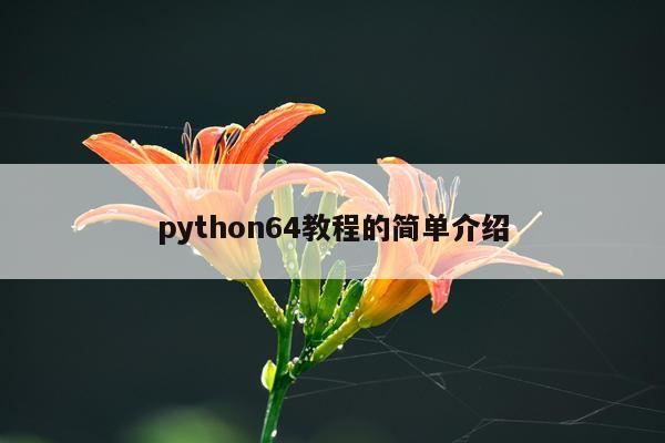 python64教程的简单介绍