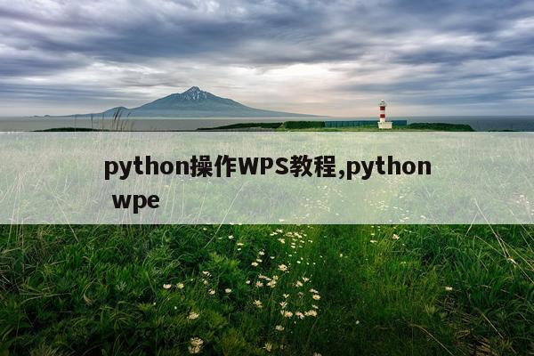 python操作WPS教程,python wpe