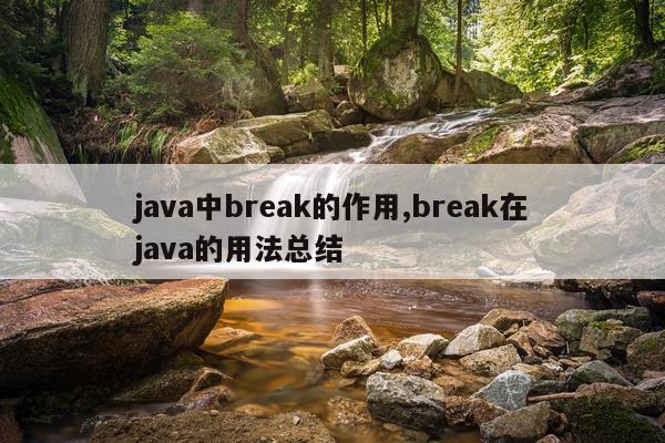 java中break的作用,break在java的用法总结