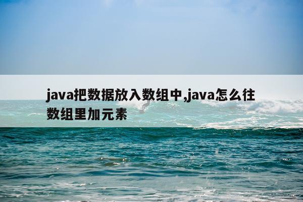java把数据放入数组中,java怎么往数组里加元素