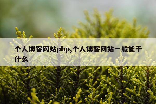 个人博客网站php,个人博客网站一般能干什么