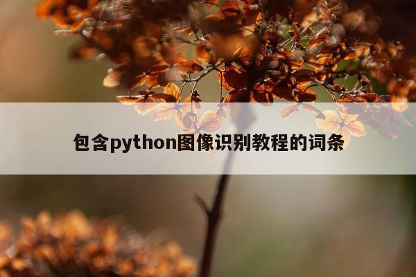 包含python图像识别教程的词条