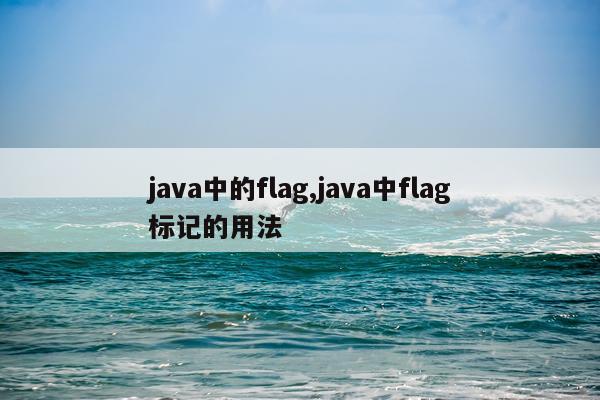 java中的flag,java中flag标记的用法
