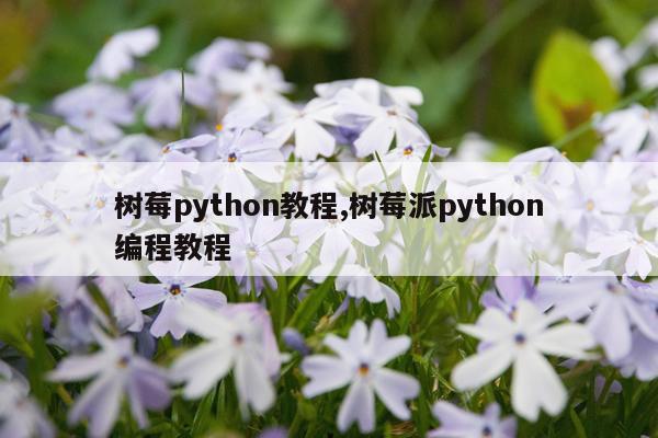 树莓python教程,树莓派python编程教程
