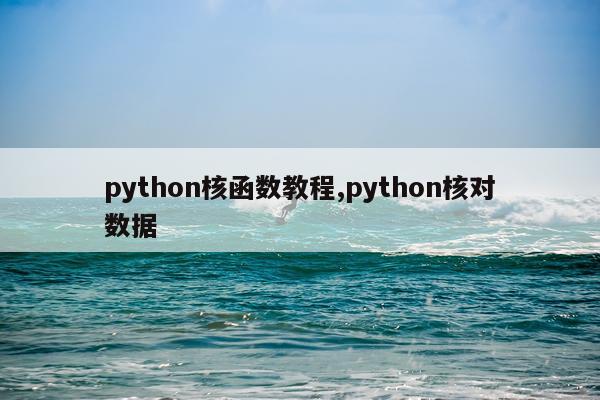 python核函数教程,python核对数据