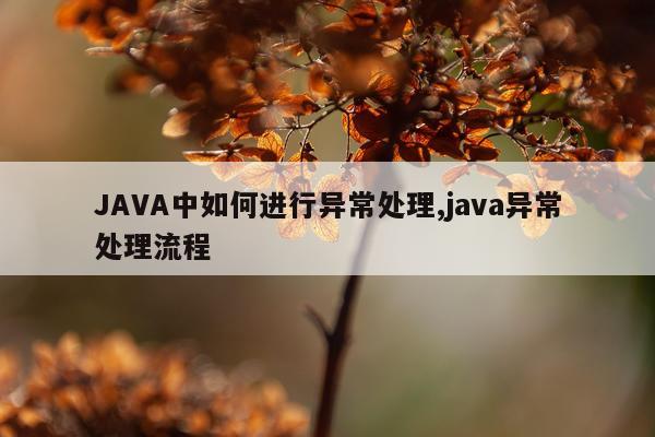 JAVA中如何进行异常处理,java异常处理流程
