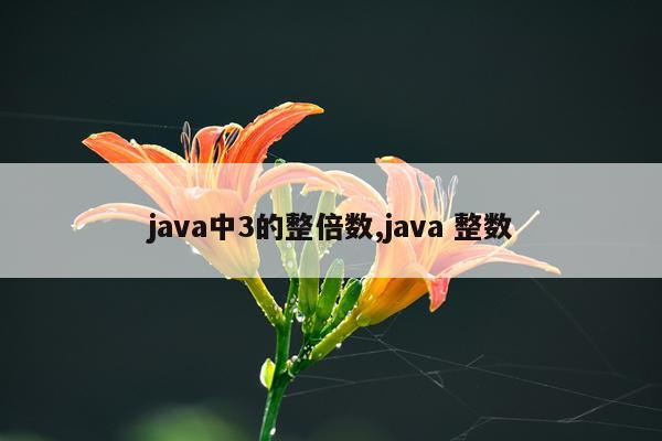 java中3的整倍数,java 整数