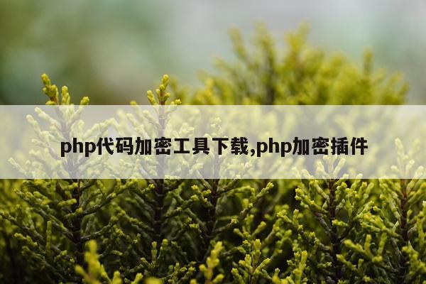 php代码加密工具下载,php加密插件