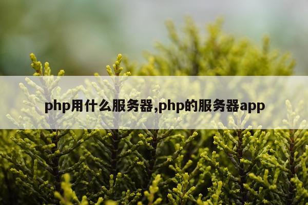 php用什么服务器,php的服务器app