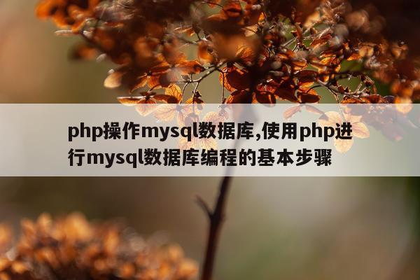php操作mysql数据库,使用php进行mysql数据库编程的基本步骤