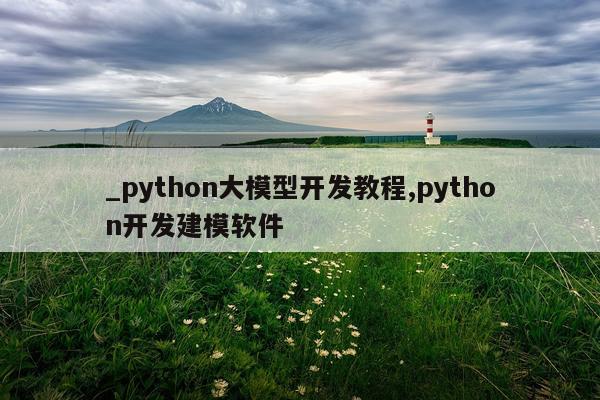 _python大模型开发教程,python开发建模软件
