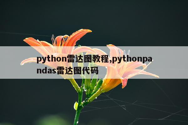 python雷达图教程,pythonpandas雷达图代码