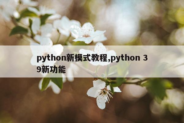 python新模式教程,python 39新功能