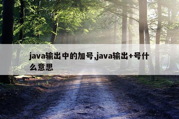 java输出中的加号,java输出+号什么意思