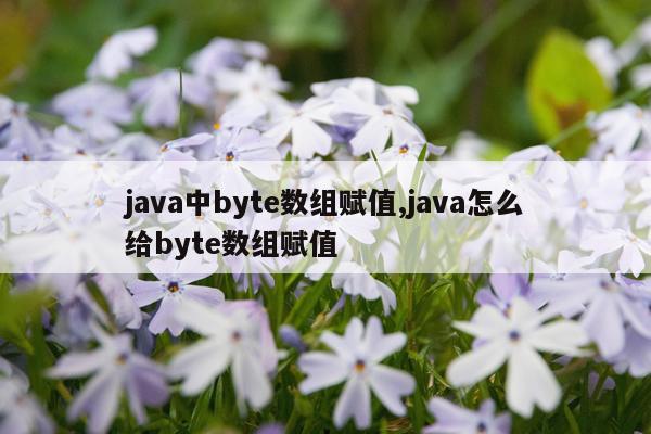 java中byte数组赋值,java怎么给byte数组赋值