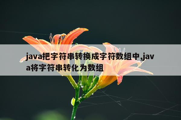 java把字符串转换成字符数组中,java将字符串转化为数组