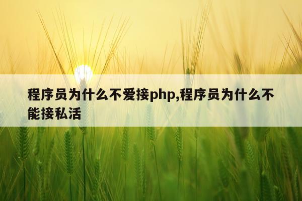 程序员为什么不爱接php,程序员为什么不能接私活