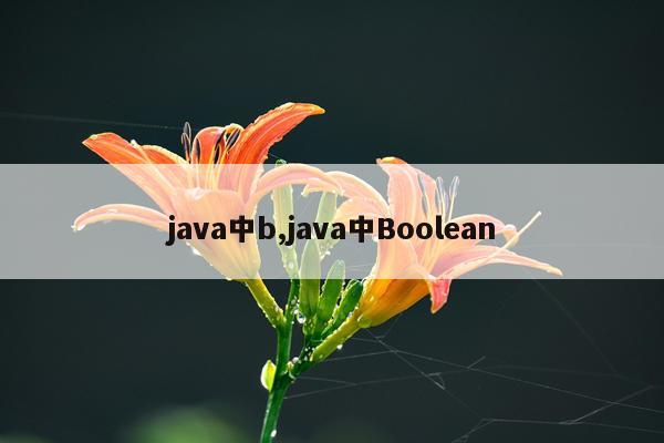 java中b,java中Boolean