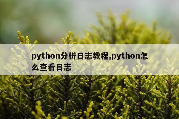 python分析日志教程,python怎么查看日志