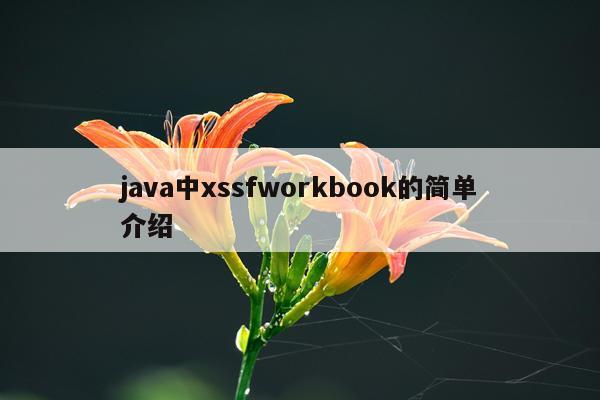 java中xssfworkbook的简单介绍