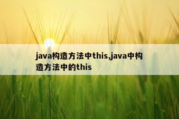 java构造方法中this,java中构造方法中的this