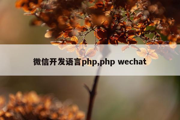 微信开发语言php,php wechat