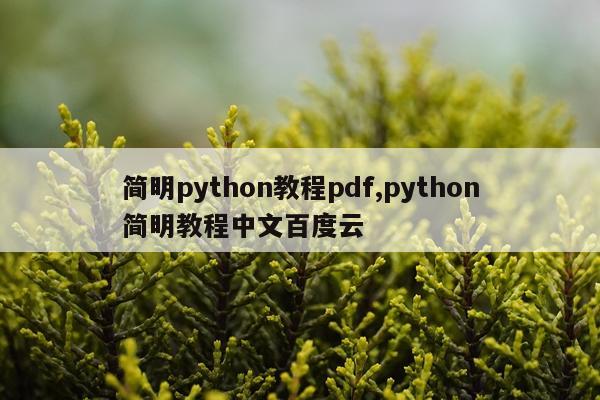 简明python教程pdf,python简明教程中文百度云
