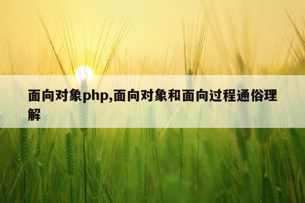 面向对象php,面向对象和面向过程通俗理解