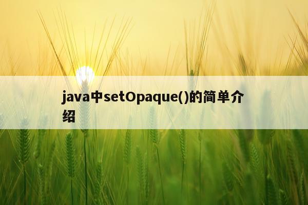 java中setOpaque()的简单介绍