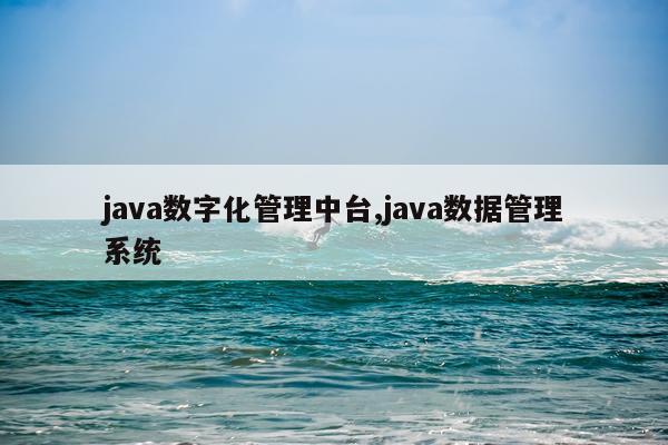 java数字化管理中台,java数据管理系统