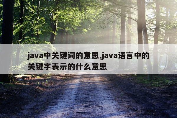 java中关键词的意思,java语言中的关键字表示的什么意思
