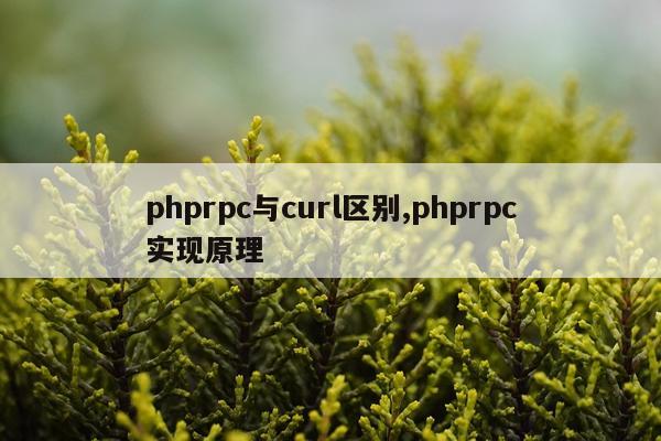 phprpc与curl区别,phprpc实现原理
