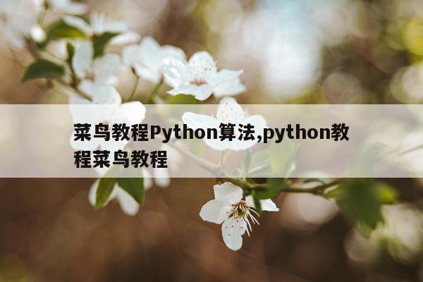 菜鸟教程Python算法,python教程菜鸟教程