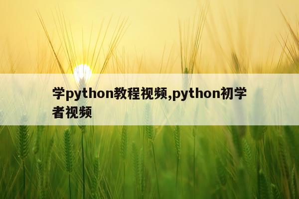学python教程视频,python初学者视频
