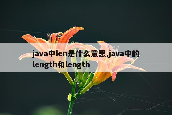 java中len是什么意思,java中的length和length