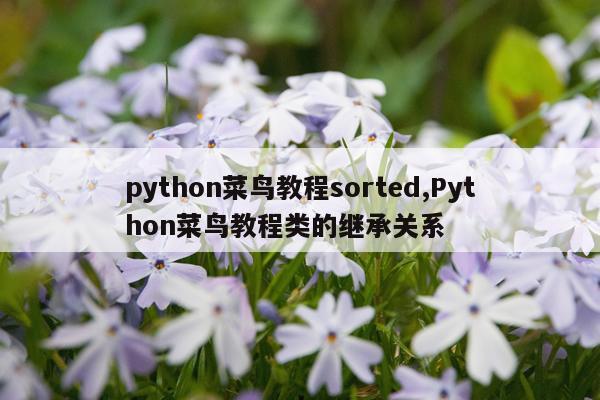 python菜鸟教程sorted,Python菜鸟教程类的继承关系