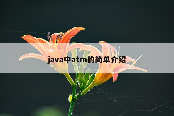 java中atm的简单介绍