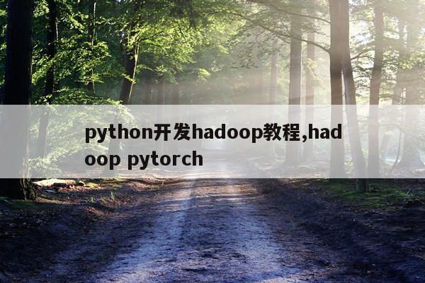python开发hadoop教程,hadoop pytorch