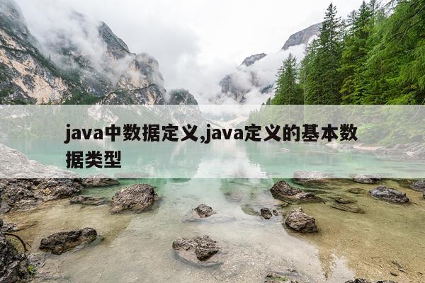 java中数据定义,java定义的基本数据类型