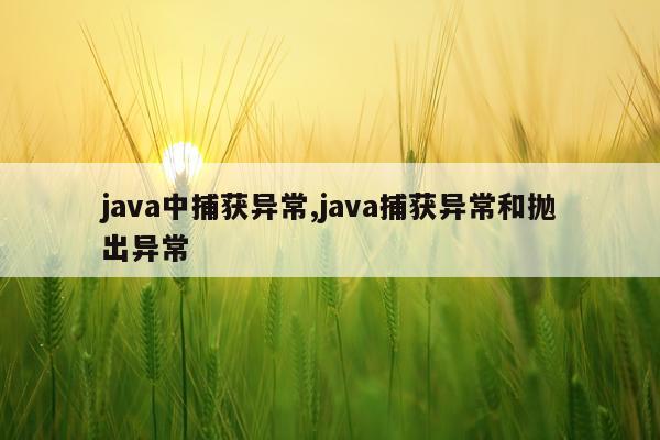 java中捕获异常,java捕获异常和抛出异常