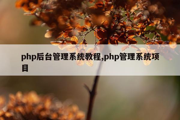 php后台管理系统教程,php管理系统项目
